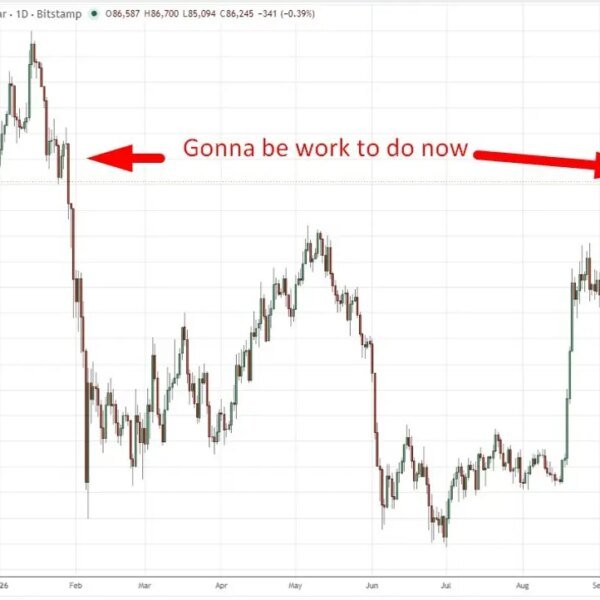 Crypto open curiosity jumped as $650m of shorts have been squeezed: the…