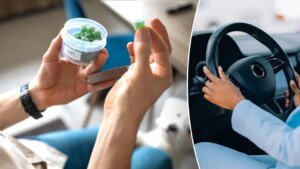 Cannabis edibles impair driving even when THC blood assessments are low
