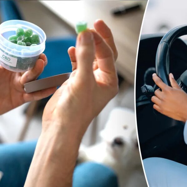 Cannabis edibles impair driving even when THC blood assessments are low