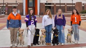 Even on opening weekend, soccer gamers at Clemson, LSU is perhaps upstaged on campus by these furry mates