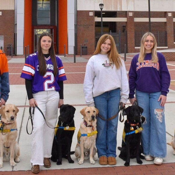 Even on opening weekend, soccer gamers at Clemson, LSU is perhaps upstaged…