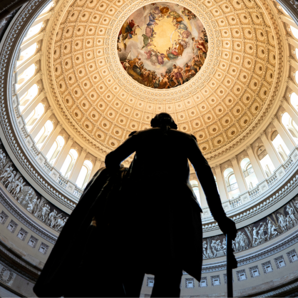 Neither celebration has coherent midterm plan on affordability, says GOP senator