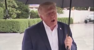 Trump Brags That He Has The Best Poverty In New Republican Midterm Disaster