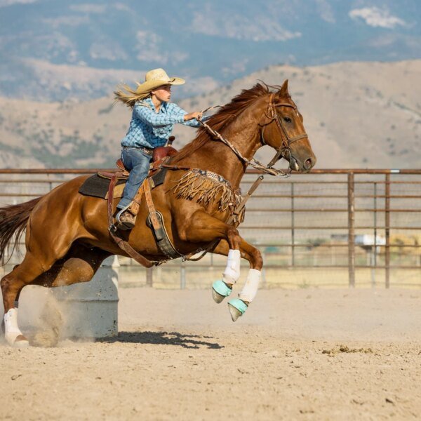 Lumentum: Speed Is Everything