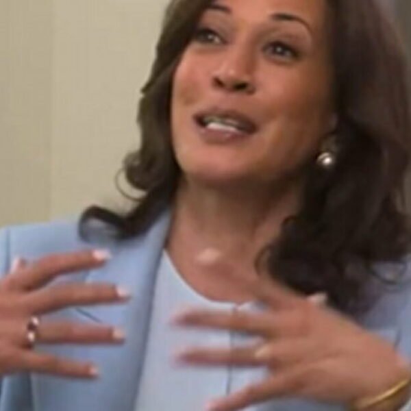 Try Not to Laugh as Kamala Harris Explains Artificial Intelligence and Algorithms&hellip;