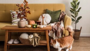 Make your private home cozier for fall with these upgrades below $50