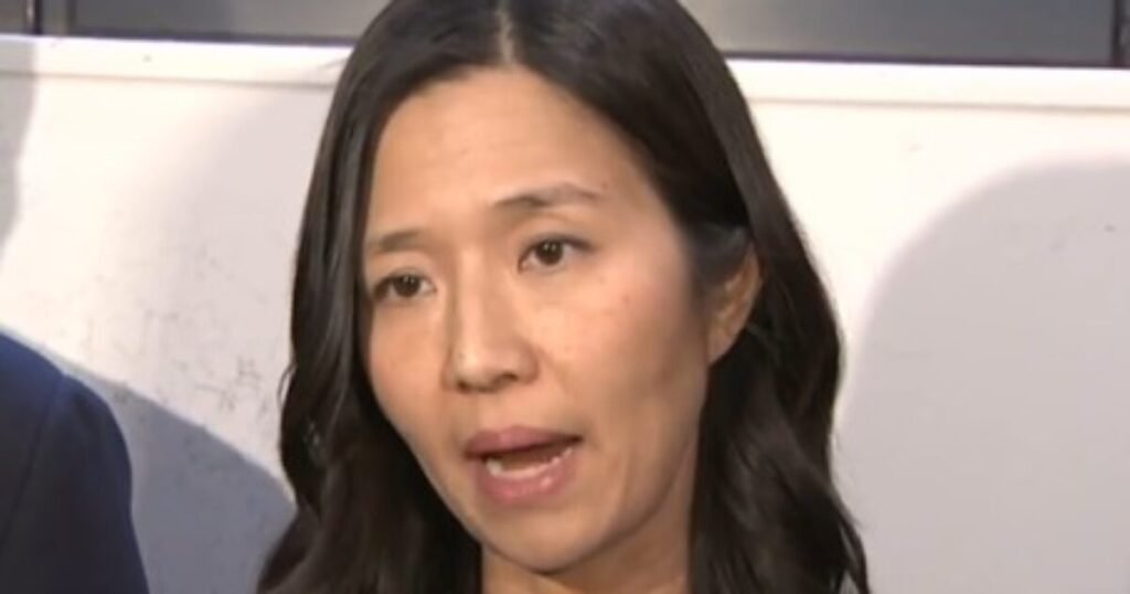 Boston Mayor Michelle Wu Giving Tax Dollars Exclusively to Immigrants and Non-Citizens to Train in Political Activism