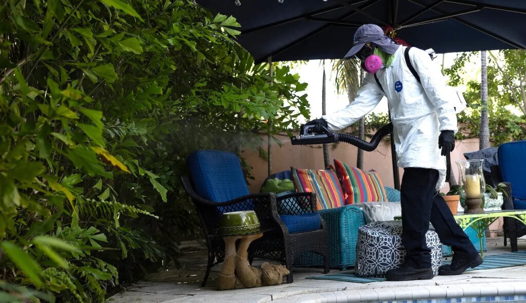 Dengue fever outbreak prompts 3 counties to declare states of emergency