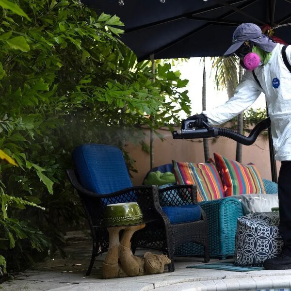 Dengue fever outbreak prompts 3 counties to declare states of emergency