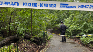 Woman discovered useless in Central Park as police race to resolve thriller