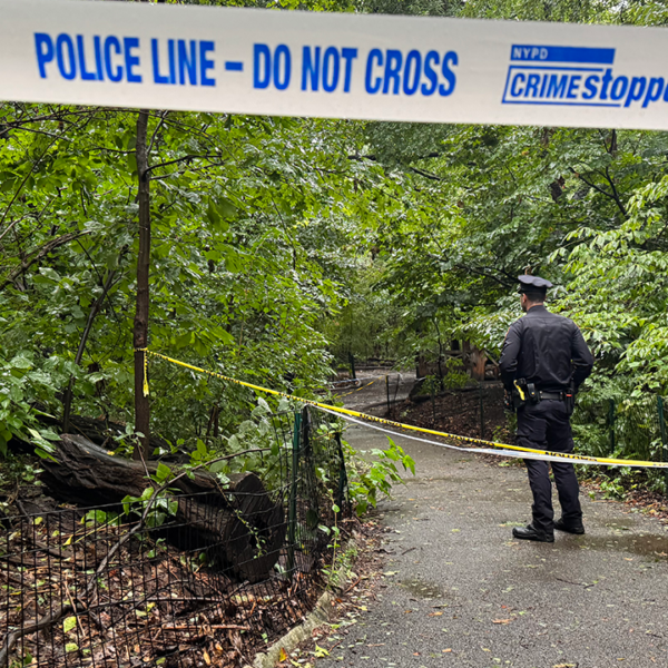 Woman discovered useless in Central Park as police race to resolve thriller