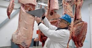 DOJ Announces Walmart, Costco, Amazon Are Under Investigation in Beef Affordability Probe * The Gateway Pundit * by Nick Givas, The Western Journal