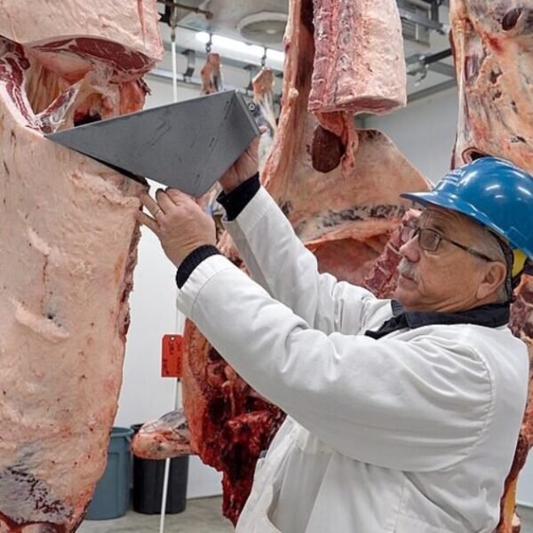 DOJ Announces Walmart, Costco, Amazon Are Under Investigation in Beef Affordability Probe&hellip;