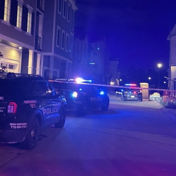 HORROR IN HOUSTON: Mother Allegedly Shoots and Kills Her 4-Year-Old Daughter After…