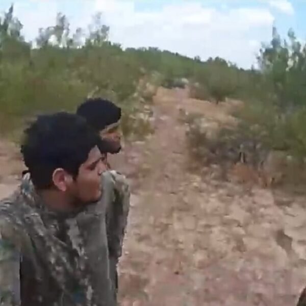 Texas DPS Ok-9 Unit, DPS Border Mounted Patrol, and Border Patrol Track…