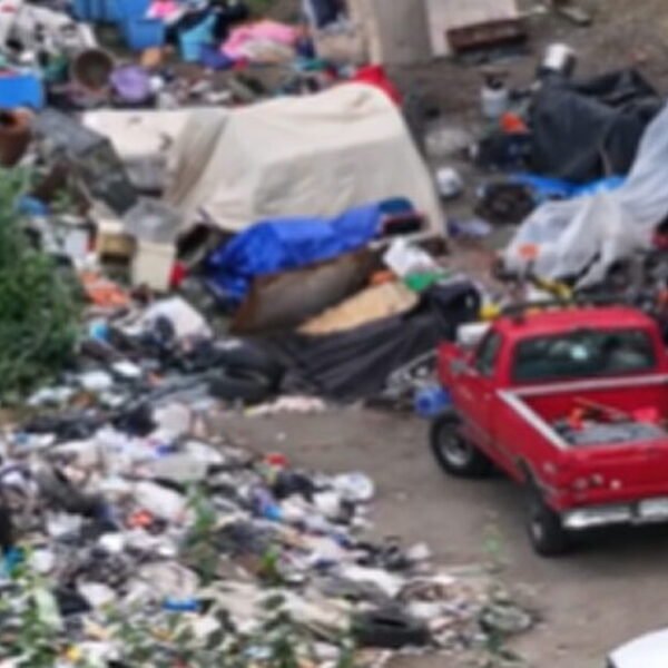 Seattle Homeless Encampment Described as an Environmental Hazard Yet it Keeps EXPANDING…