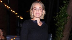Sharon Stone claims ex signed her up for mind surgical procedure with out consent