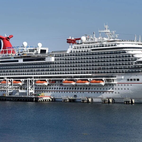Carnival Cruise Line confirms passenger jumped overboard on Panorama ship