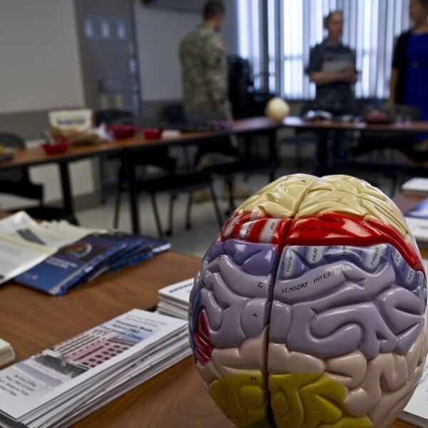 Brain Disease Among Former NFL Players Raises Alarms for Veterans’ Mental Health…