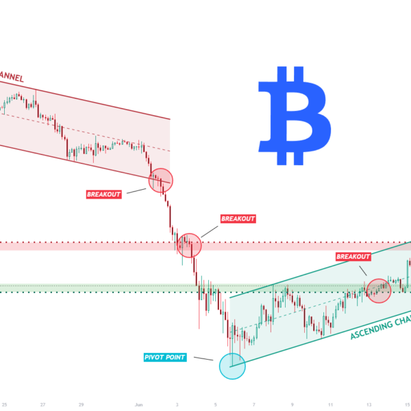 Bitwise And Vise Bring Crypto Model Portfolios To Financial Advisors