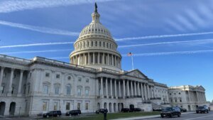 NEWT GINGRICH: How Republicans can cease hoping and begin profitable in 2026