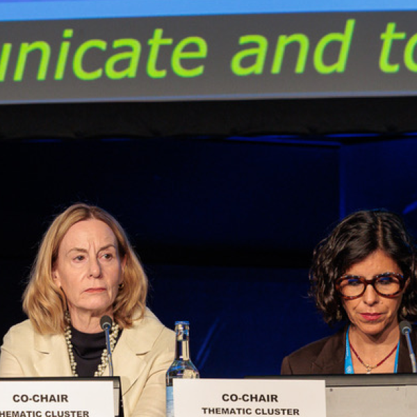 We co-led the UN’s dialogue on protected and safe AI. Here’s what…