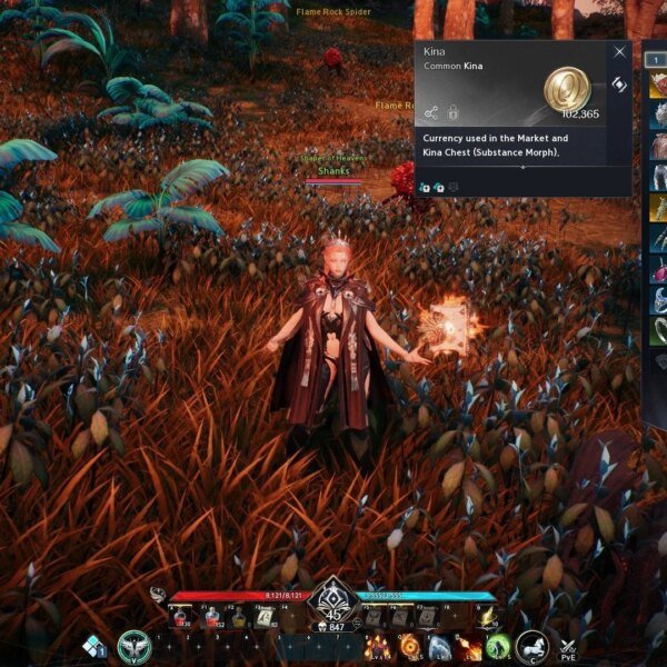 How to get Unbound Kina in Aion 2 (market forex)