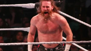 The Most Shocking WWE Moments Fans Never Saw Coming