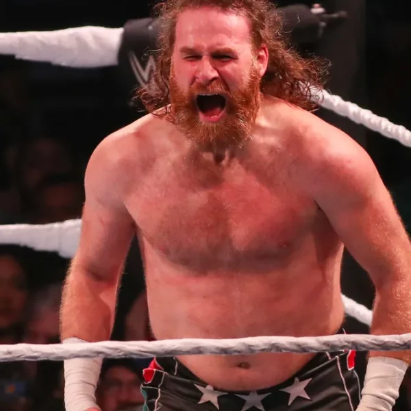 The Most Shocking WWE Moments Fans Never Saw Coming