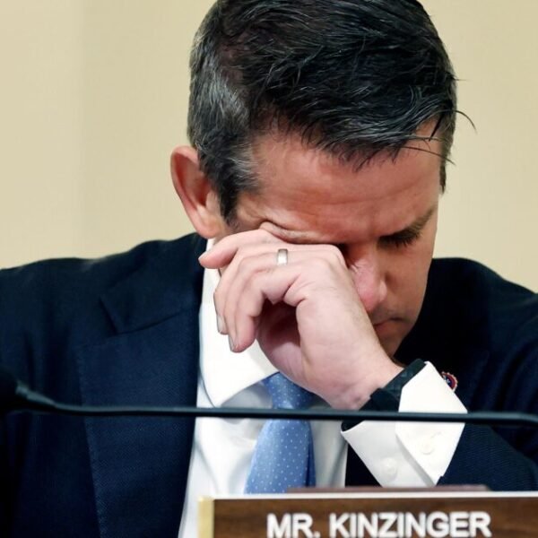 Never-Trump RINO Adam Kinzinger Bet on His Own Biden Pardon — CFTC…