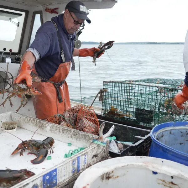 Diesel is so expensive business fishermen cannot afford to go away the…