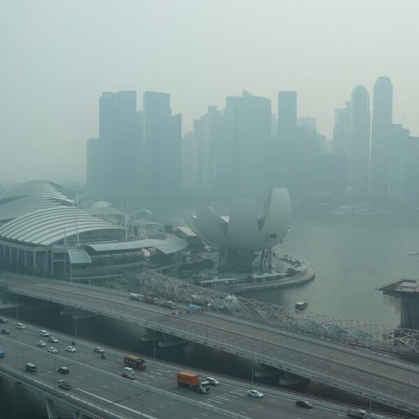‘They might imagine that they’ll escape scrutiny’: Singapore cracks down on Indonesian…