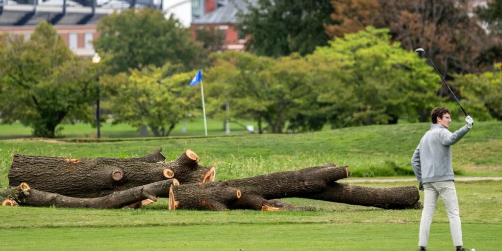 Park service will take away over 500 bushes from a historic golf course Trump is redesigning