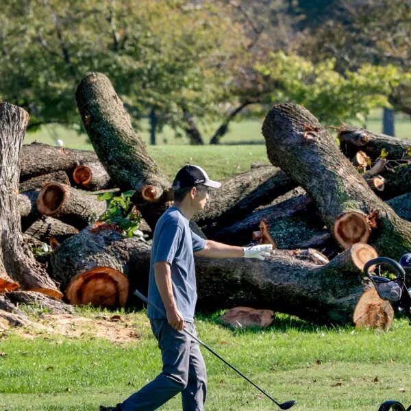 Trump to shut DC golf course for renovations citing ‘illness infested timber’&hellip;