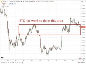 Strategy bitcoin purchases shrink as buybacks take precedence forward of earnings
