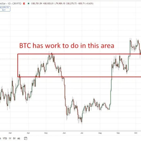Strategy bitcoin purchases shrink as buybacks take precedence forward of earnings