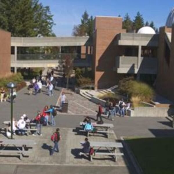 Hardly Shocking: Gallop Poll Shows College Importance Hits Record Low * The…