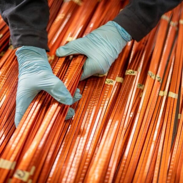 Giraffe Bio goals its bespoke biomolecules on the looming copper scarcity
