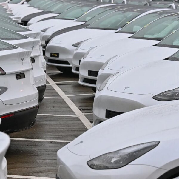 Tesla sustains its EV gross sales momentum regardless of US troubles