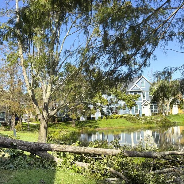Does residence insurance coverage cowl storm injury?