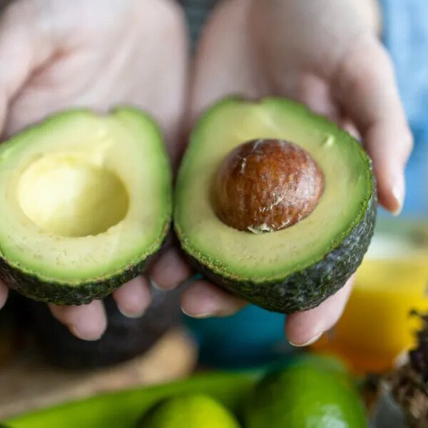I signify Mexican avocado importers. Here’s what America’s 30-year avocado behavior means…