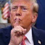 The knowledge scientist who known as Trump’s 2024 win now offers Democrats a 78% shot on the Senate