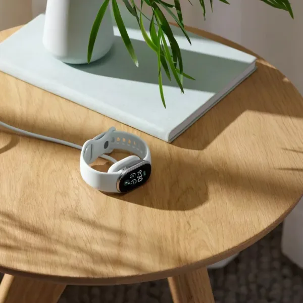 Fitbit Edge is Google’s center floor between Fitbit Air and Pixel Watch