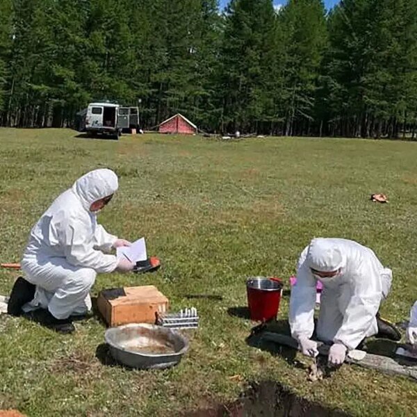 Pneumonic plague fears rise after Siberia lab employee’s mysterious dying