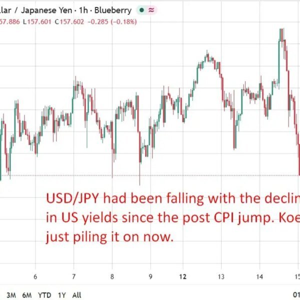 BOJ’s Koeda says financial institution shouldn’t be overly cautious about elevating charges