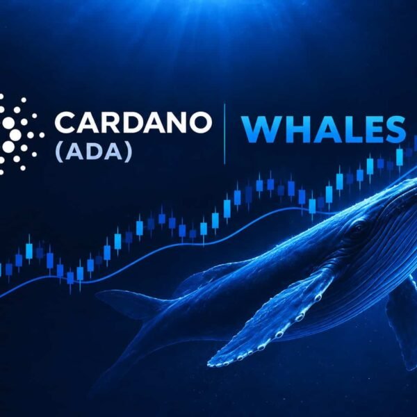 AI Predicts Cardano as Whales Wake and ADA Drops 8%