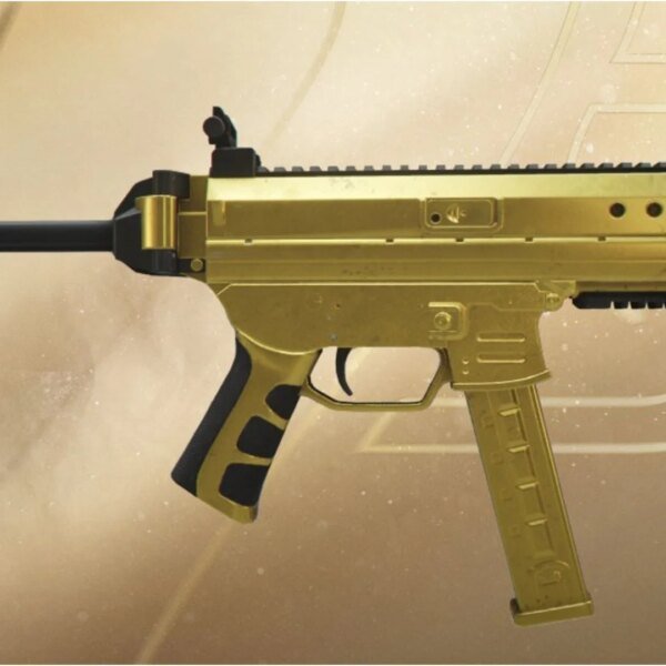 How to say new SMG pores and skin in 007 First Light…