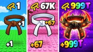 +1 Karate Evolution Trails information