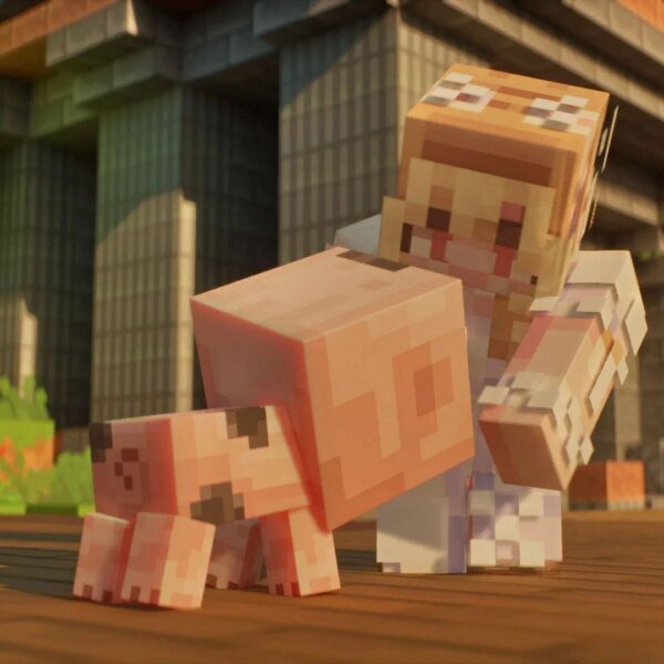 How so as to add customized skins in Minecraft Dungeons II