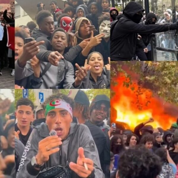 France on Fire: Far-Left Muslim-Aligned Party Accused of Participating in Violence *…